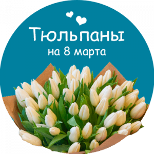 Купить тюльпаны в Камызяке
